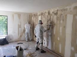 Professional Mold Prevention & Removal  in Eddyville, KY